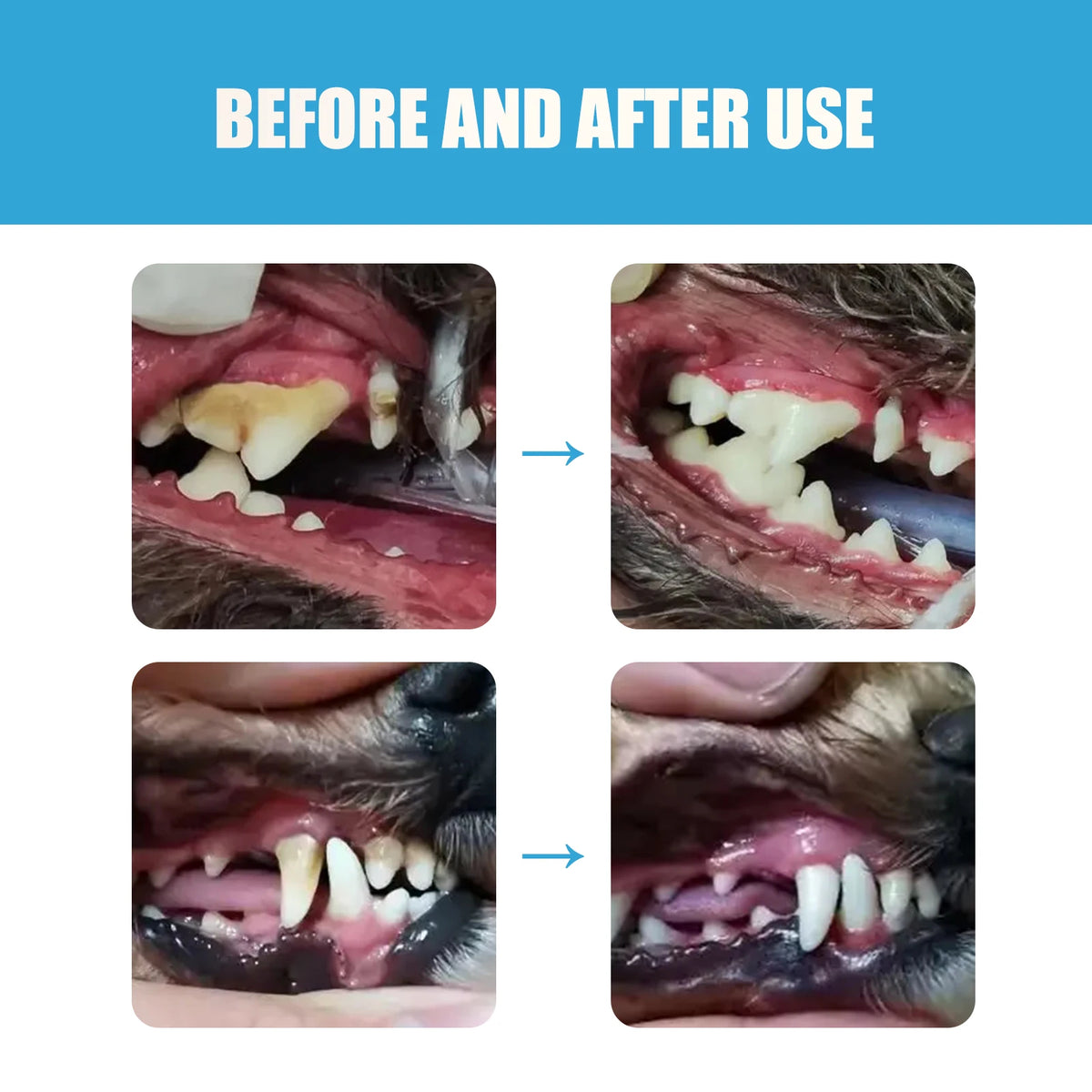 100ml Eco-Friendly Pet Perfume Deodorization and Odor Removal for Dogs and Cats Plastic Pet Environment Deodorant Supplies