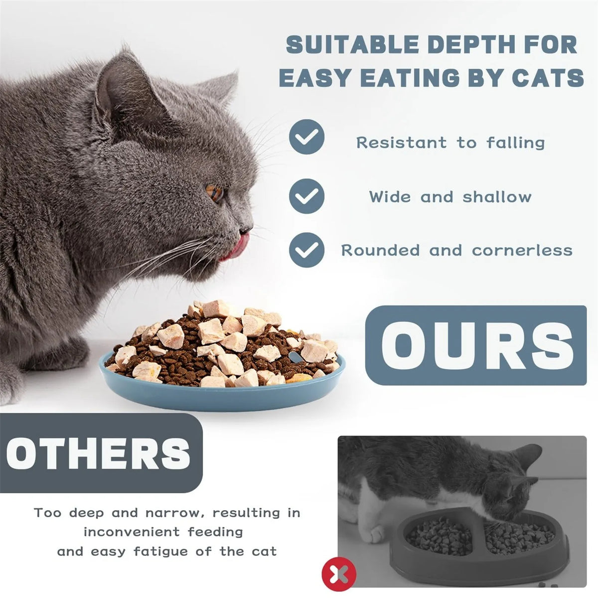 1/5PCS Pet Feeding Bowl Round Color Food Bowl Pp Material Large Area Base for Wet and Dry Food Feeding Bowl Pet Supplies