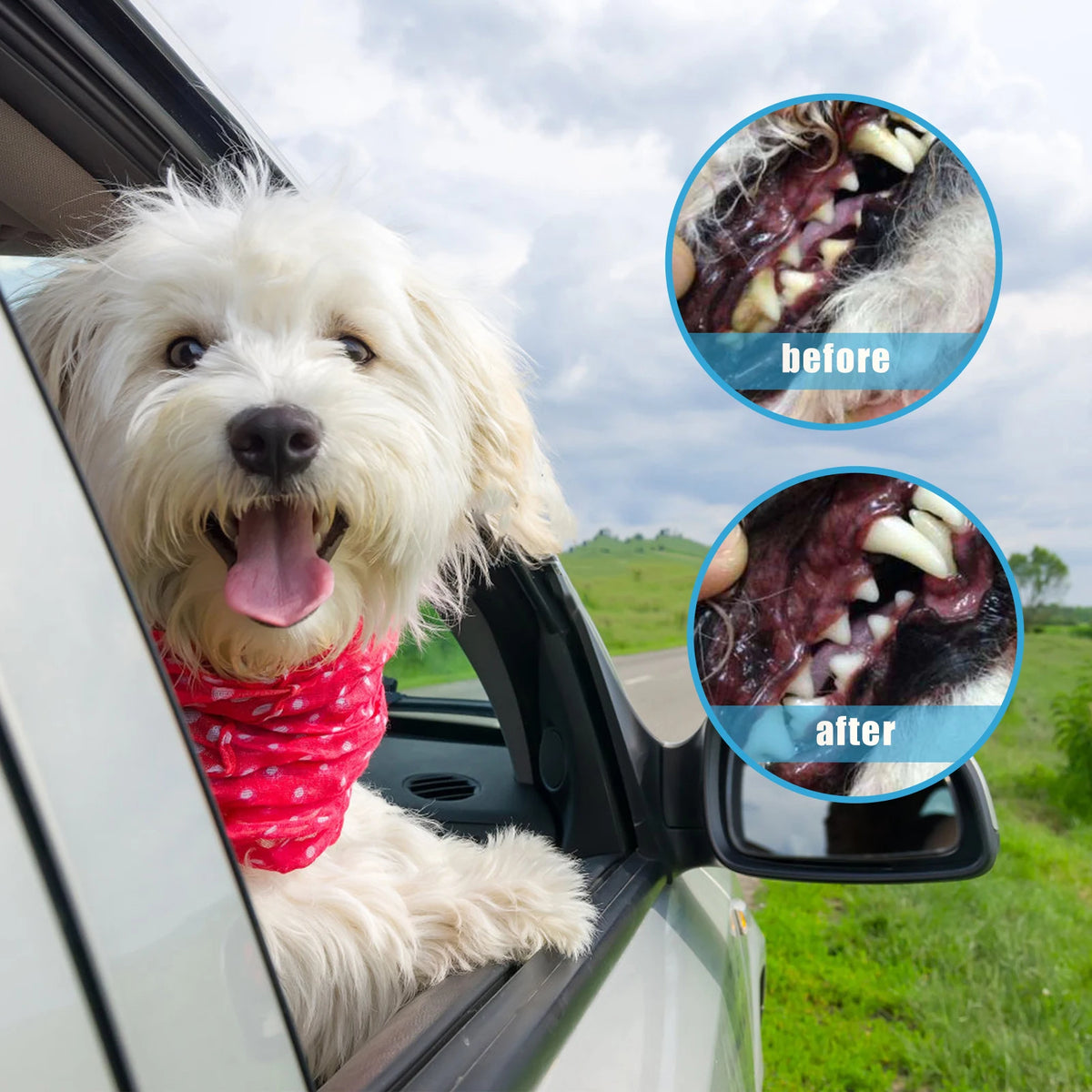 100ml Eco-Friendly Pet Perfume Deodorization and Odor Removal for Dogs and Cats Plastic Pet Environment Deodorant Supplies
