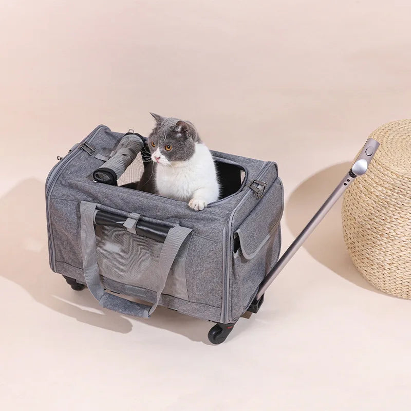 Pet Carrier with Wheels for Dogs Up To 15lbs & Cat  Airline Approved Dog Carrier Rolling Pet Carrier Foldable Pet Stroller