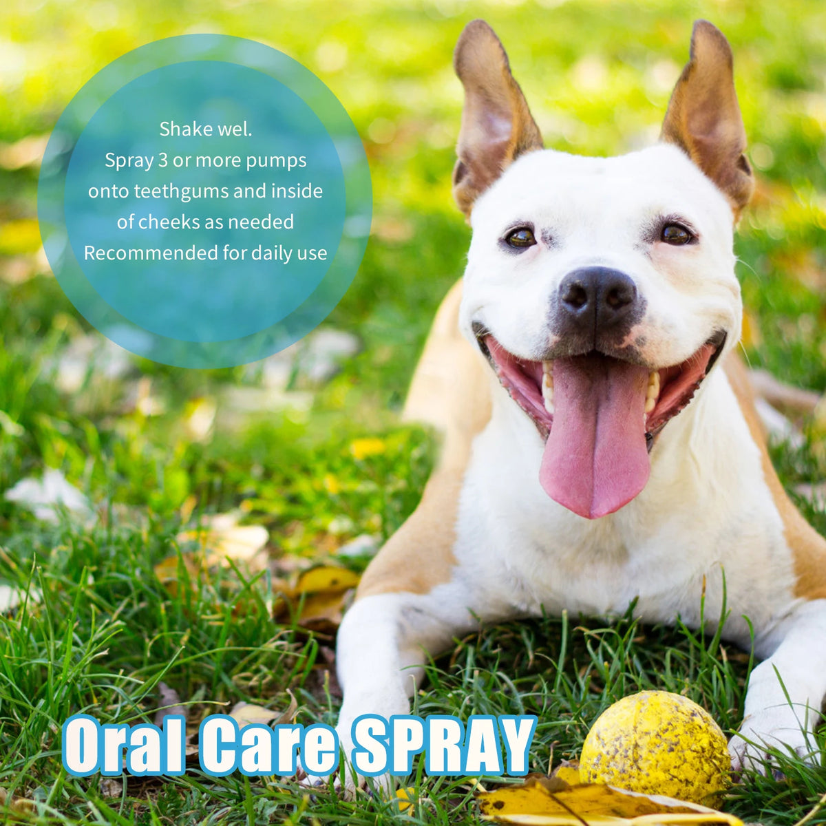 100ml Eco-Friendly Pet Perfume Deodorization and Odor Removal for Dogs and Cats Plastic Pet Environment Deodorant Supplies