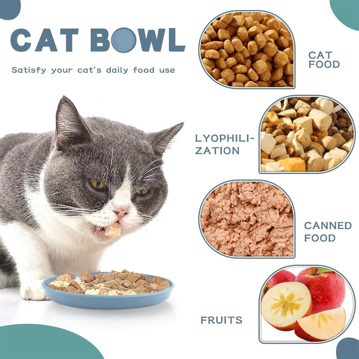 1/5PCS Pet Feeding Bowl Round Color Food Bowl Pp Material Large Area Base for Wet and Dry Food Feeding Bowl Pet Supplies