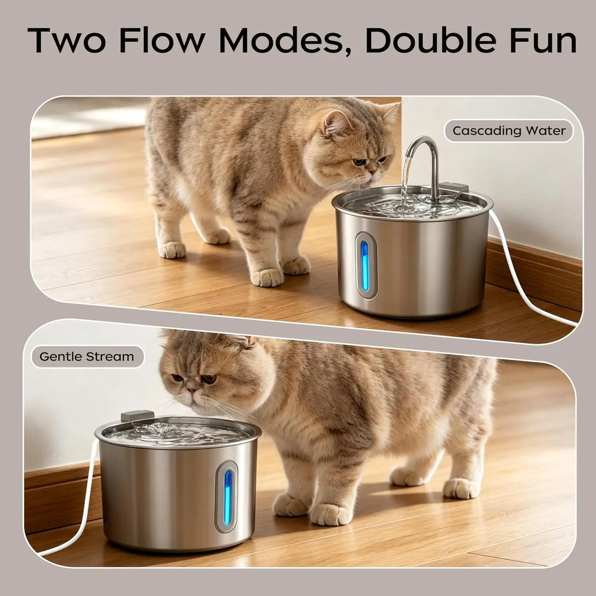 Cat Water Fountain Stainless Steel: 74oz/2.2L Cat Fountain for Drinking Pet Water Fountain for Cats Inside - Quiet Cats Water Bowl Dispenser - Kitty Drinking Fountains - for Pets& Small Animals