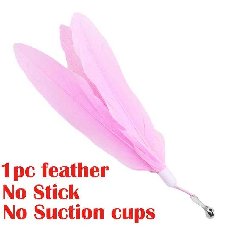 Interactive Cat Toy Handfree Cat Stick Kitten Playing Teaser Wand Toy Suction Cup Feather Wand Pet Supplies Simulation Feather